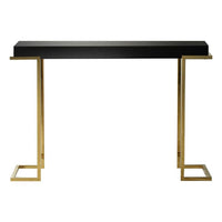Delray Black Mirrored Console