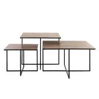 Lio Coffee Table Set of 3