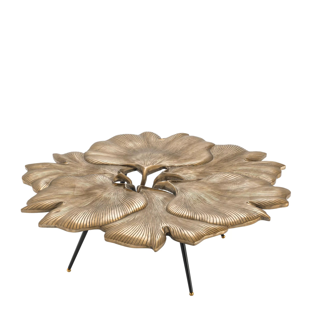 Coffee Table Ginko